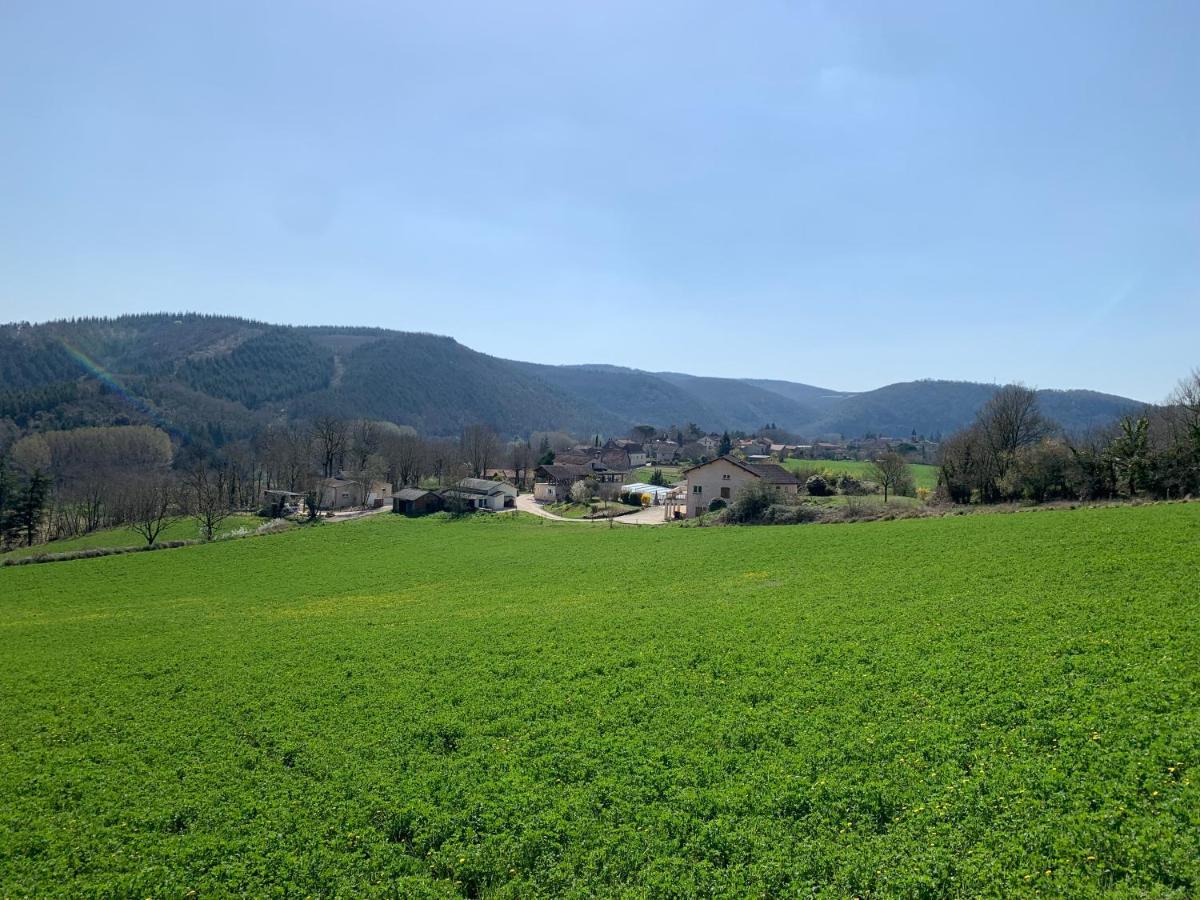 Les Figuiers de Louna - PIERRE ENSOLEILLÉE - 110 m2 et une véranda Saint-Géry Exterior foto